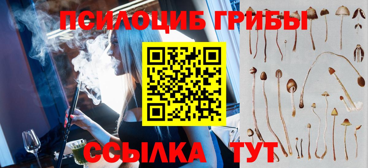 Галлюциногенные грибы мухоморы  Вход с VPN  Тамбов  Псилоцибиновые грибы Psilocybine cubensis 