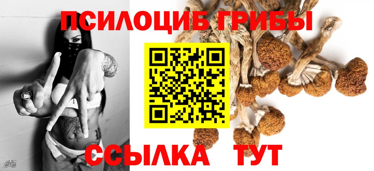 Галлюциногенные грибы прущие грибы Тамбов